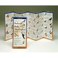 Steven Lewers & Associates Steven M. Lewers & Associates Common Butterflies New England Book LEWERSBUN103